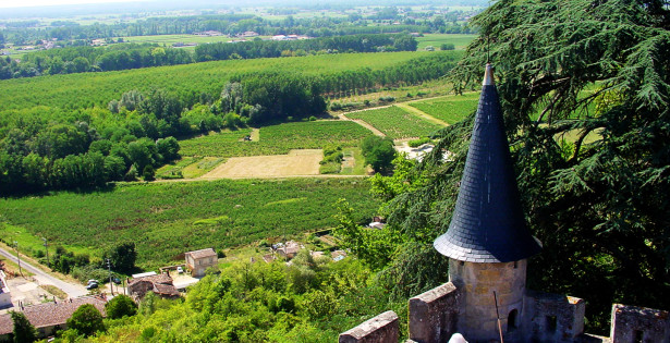 chateau4