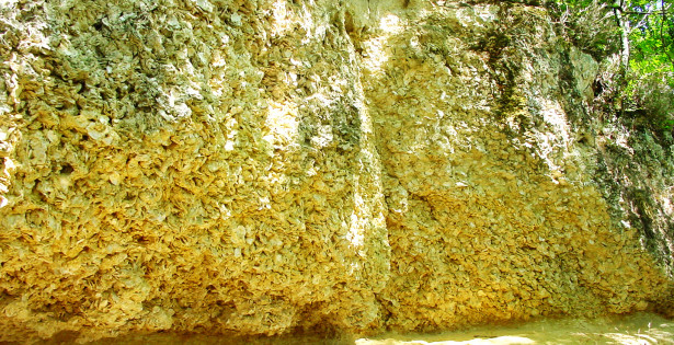 grotte-huitre grotte-huitre